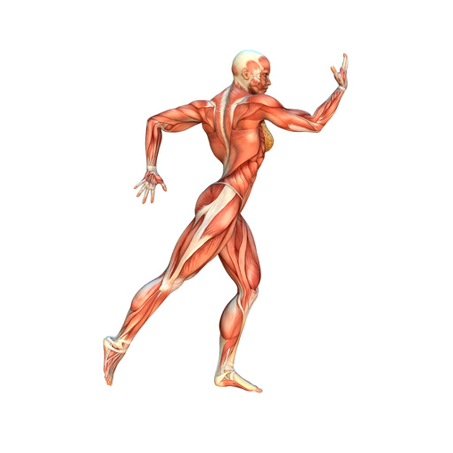 sas-footer-logo